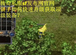 传奇私服sf发布网官网新手如何快速升级获取顶级装备? 传奇私服sf发布网官网新手如何快速升级获取顶级装备?
