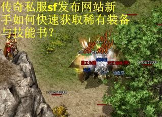 传奇私服sf发布网站新手如何快速获取稀有装备与技能书？