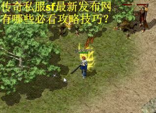 传奇私服sf最新发布网有哪些必看攻略技巧? 传奇私服sf最新发布网有哪些必看攻略技巧?