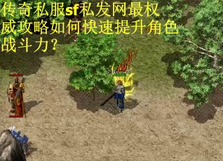 传奇私服sf私发网最权威攻略如何快速提升角色战斗力？