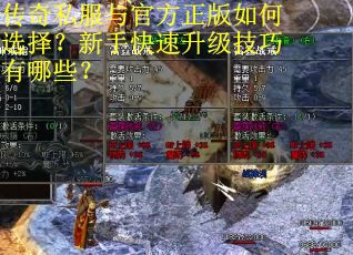 传奇私服与官方正版如何选择?新手快速升级技巧有哪些? 传奇私服与官方正版如何选择?新手快速升级技巧有哪些?