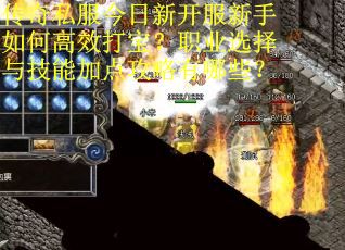 传奇私服今日新开服新手如何高效打宝？职业选择与技能加点攻略有哪些？