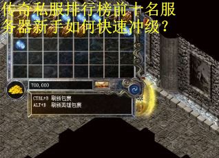 传奇私服排行榜前十名服务器新手如何快速冲级？