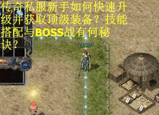 传奇私服新手如何快速升级并获取顶级装备？技能搭配与BOSS战有何秘诀？