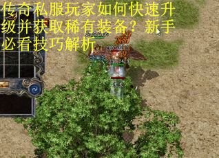 传奇私服玩家如何快速升级并获取稀有装备？新手必看技巧解析