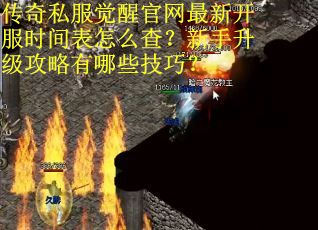 传奇私服觉醒官网最新开服时间表怎么查？新手升级攻略有哪些技巧？