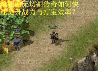 单职业无切割传奇如何快速提升战力与打宝效率？