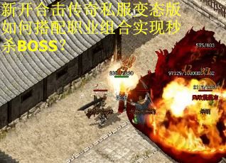 新开合击传奇私服变态版如何搭配职业组合实现秒杀BOSS？