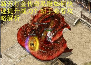 新开打金传奇私服如何快速提升战力？新手必看攻略解析