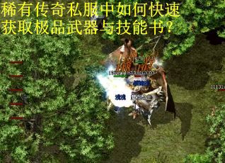 稀有传奇私服中如何快速获取极品武器与技能书？