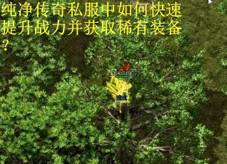 纯净传奇私服中如何快速提升战力并获取稀有装备？