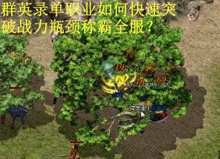 群英录单职业如何快速突破战力瓶颈称霸全服？