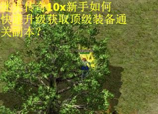 迷失传奇10x新手如何快速升级获取顶级装备通关副本? 迷失传奇10x新手如何快速升级获取顶级装备通关副本?