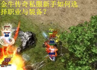 金牛传奇私服新手如何选择职业与装备? 金牛传奇私服新手如何选择职业与装备?
