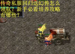 传奇私服回归送幻兽怎么领取？新手必看培养攻略有哪些？