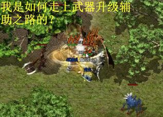 我是如何走上武器升级辅助之路的？