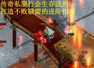 传奇私服行会生存法则:打造不败联盟的进阶指南 传奇私服行会生存法则:打造不败联盟的进阶指南