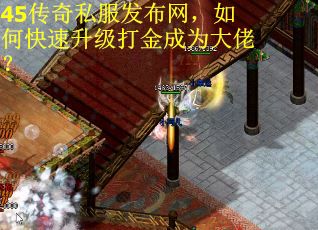 45传奇私服发布网，如何快速升级打金成为大佬？