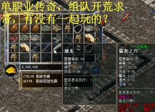 单职业传奇，组队开荒求带，有没有一起玩的？