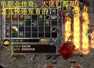 单职业传奇:大佬们都是怎么快速发育的? 单职业传奇:大佬们都是怎么快速发育的?