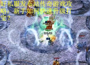 好私服发布站传奇游戏攻略：新手如何快速升级打宝？
