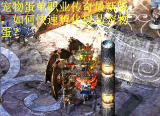 宠物蛋单职业传奇最新版，如何快速孵化极品宠物蛋？