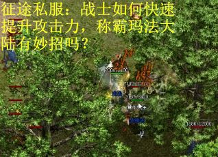 征途私服：战士如何快速提升攻击力，称霸玛法大陆有妙招吗？