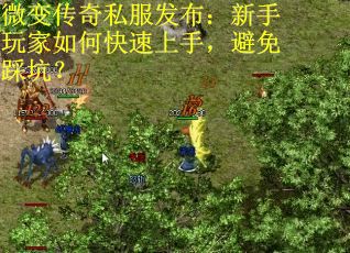 微变传奇私服发布：新手玩家如何快速上手，避免踩坑？