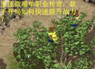 急速微端单职业传奇：新手开局如何快速提升战力？