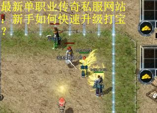 最新单职业传奇私服网站：新手如何快速升级打宝？