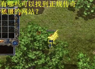 有哪些可以找到正规传奇私服的网站？