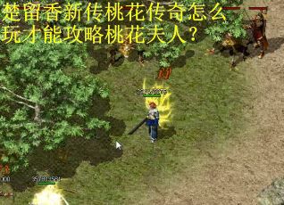 楚留香新传桃花传奇怎么玩才能攻略桃花夫人？