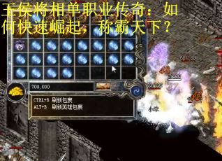 王侯将相单职业传奇：如何快速崛起，称霸天下？