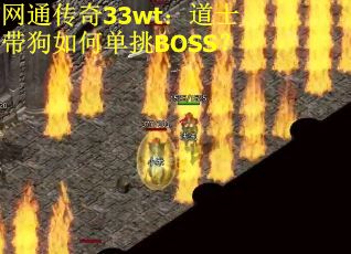 网通传奇33wt:道士带狗如何单挑BOSS? 网通传奇33wt:道士带狗如何单挑BOSS?