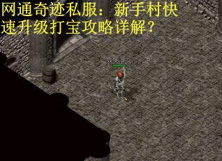 网通奇迹私服：新手村快速升级打宝攻略详解？