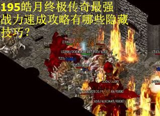 195皓月终极传奇最强战力速成攻略有哪些隐藏技巧？