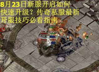 8月23日新服开启如何快速升级？传奇私服最新开服技巧必看指南