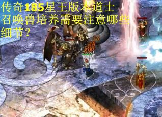 传奇185星王版本道士召唤兽培养需要注意哪些细节? 传奇185星王版本道士召唤兽培养需要注意哪些细节?