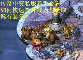 传奇中变私服新手必看:如何快速提升战力与获取稀有装备? 传奇中变私服新手必看:如何快速提升战力与获取稀有装备?