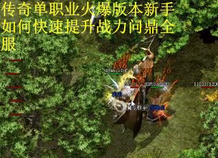 传奇单职业火爆版本新手如何快速提升战力问鼎全服