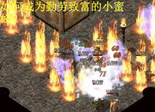 如何成为勤劳致富的小蜜蜂? 如何成为勤劳致富的小蜜蜂?