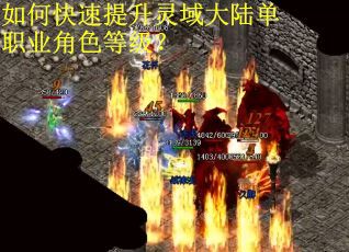 如何快速提升灵域大陆单职业角色等级？