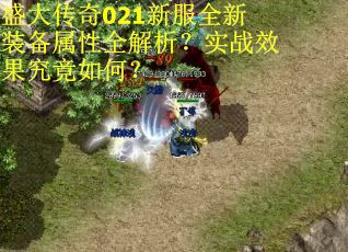 盛大传奇021新服全新装备属性全解析？实战效果究竟如何？